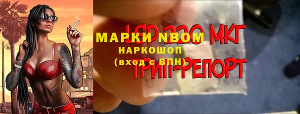 гидра Балахна