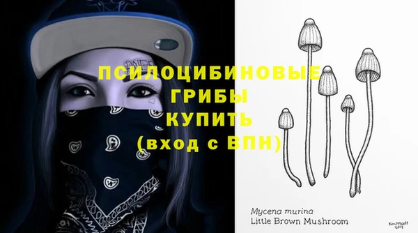 первитин Белокуриха