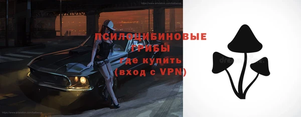 первитин Белокуриха