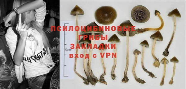 гидропоника Белоозёрский